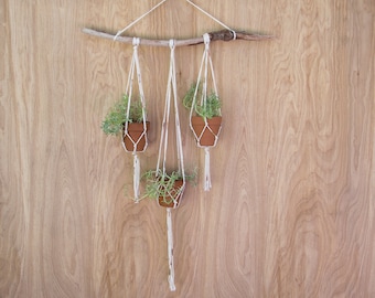 Hanging Planter | Wall Planter | Plant Hanger | Driftwood Planter | Small Hanging Planter | Small Plant Hanger | Terra Cotta Pots