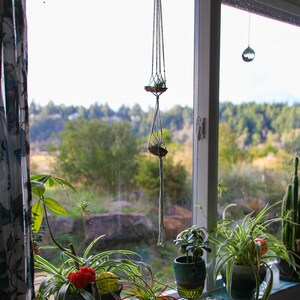 Puede incluir: Un alféizar de ventana con una variedad de plantas en maceta, incluyendo una planta araña, una suculenta y una planta con flores rojas. Las plantas están en diferentes macetas, algunas con un aspecto rústico. También hay dos plantas colgantes con colgadores de macramé.
