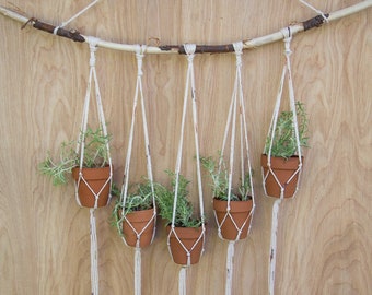 Multiple Plant Hanger |  Plant Wall Hanger | Plant Hanger | Wall Decor | Hanging Plant | Plant Decor | Wall Plant Hanger | Succulent Holder