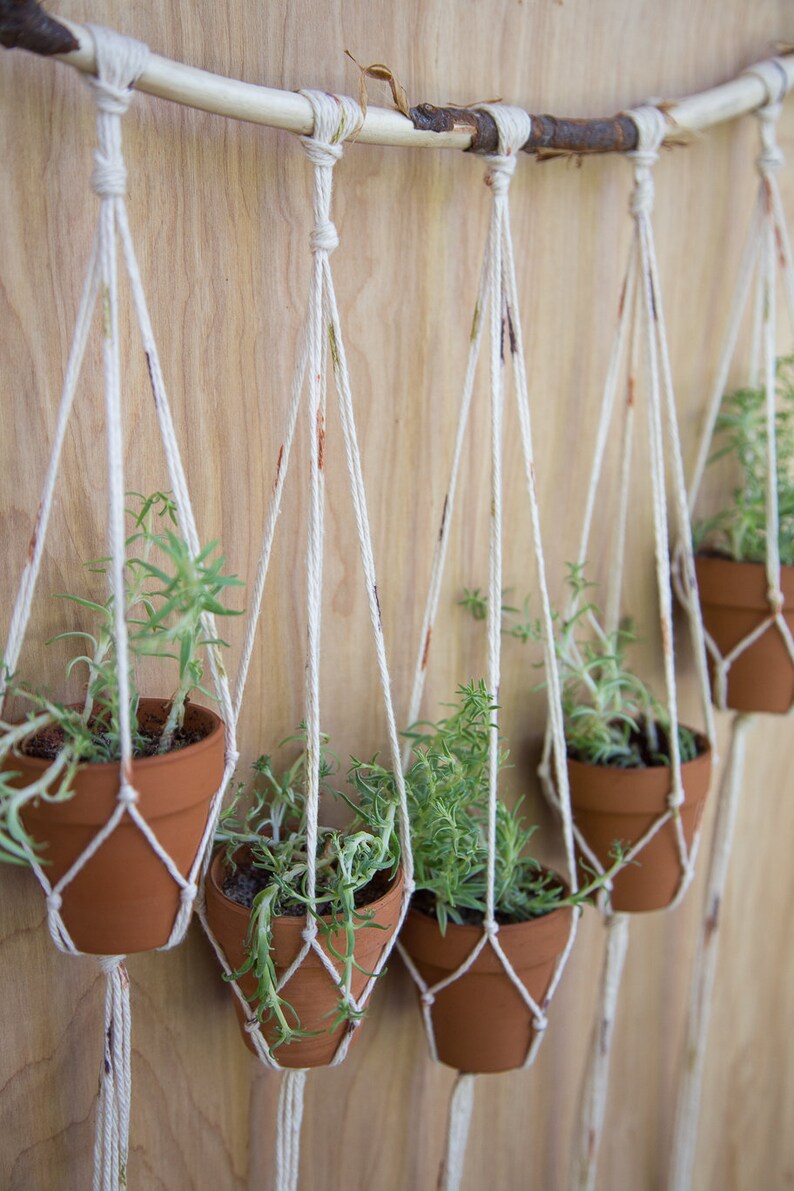 Multiple Plant Hanger Plant Wall Hanger Plant Hanger Etsy