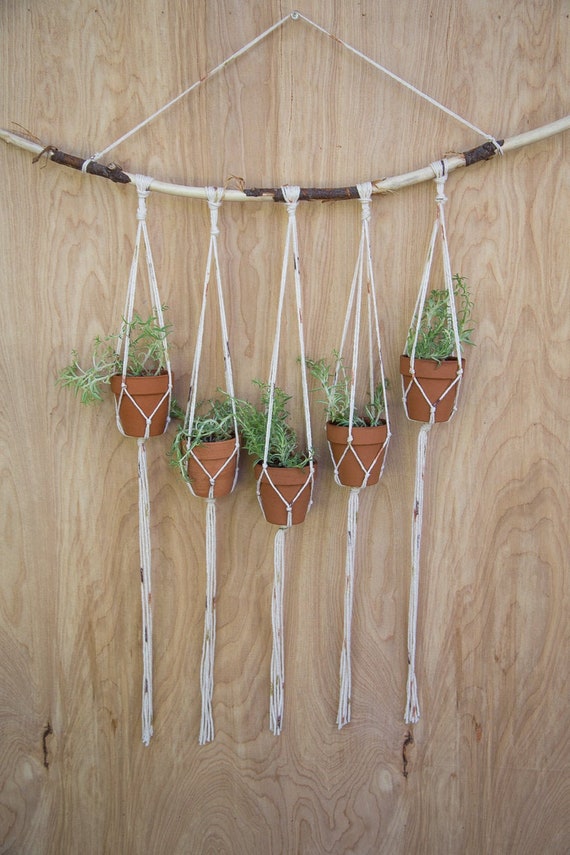 Multiple Plant Hanger | Plant Wall Hanger | Plant Hanger | Wall Decor |  Hanging Plant | Plant Decor | Wall Plant Hanger | Succulent Holder - Etsy