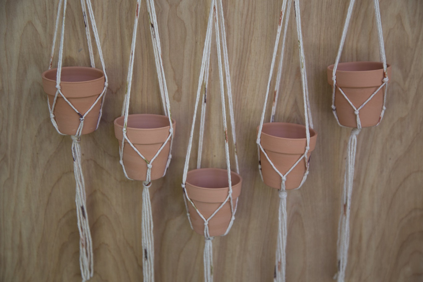 Multiple Plant Hanger Plant Wall Hanger Plant Hanger Etsy