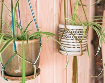 May include: Two potted plants hanging from macrame plant hangers. The plants are in brown and white ceramic pots with a geometric pattern. The macrame hangers are made with green, blue, and white yarn.