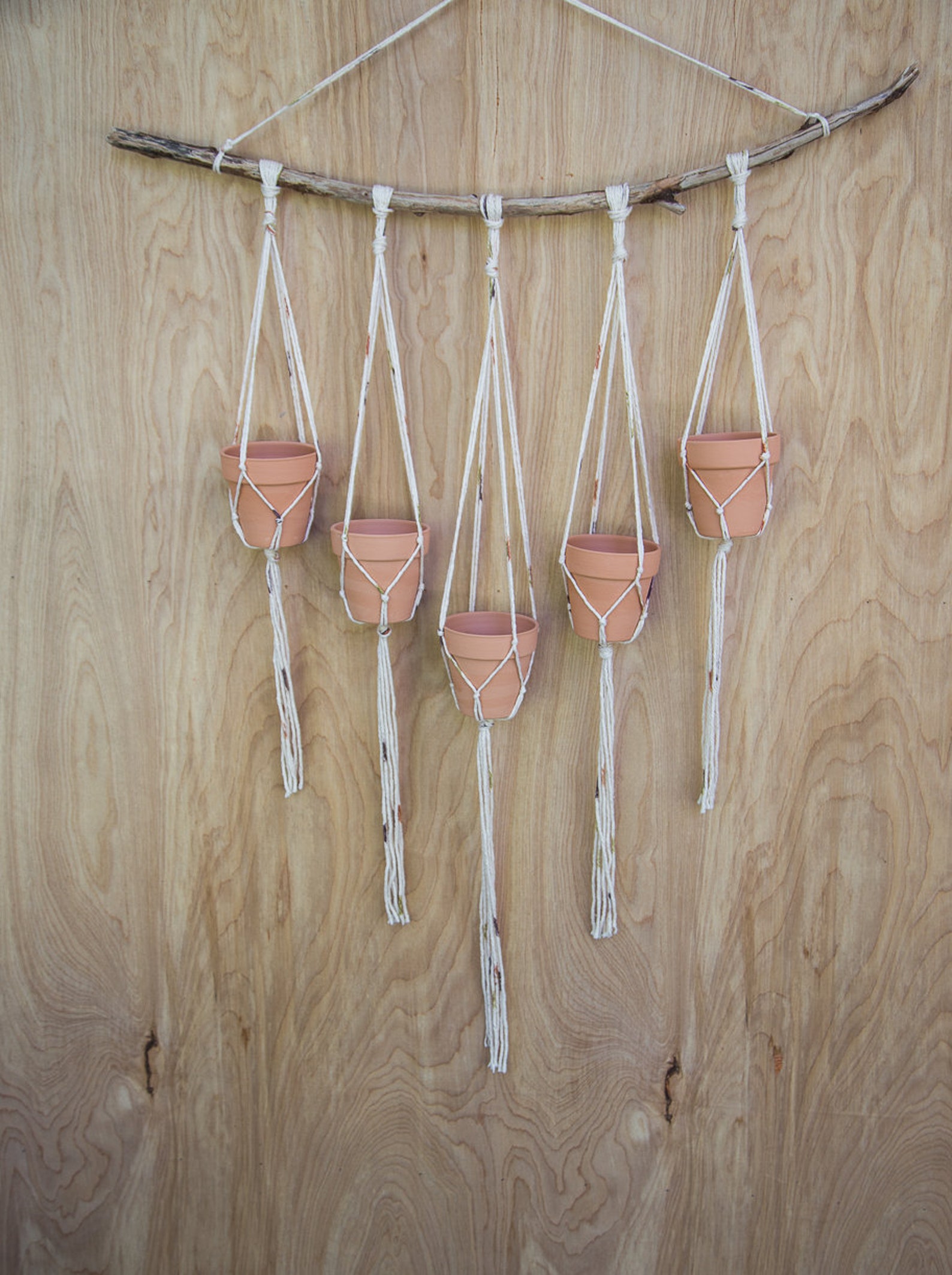 Multiple Plant Hanger Plant Wall Hanger Plant Hanger Etsy