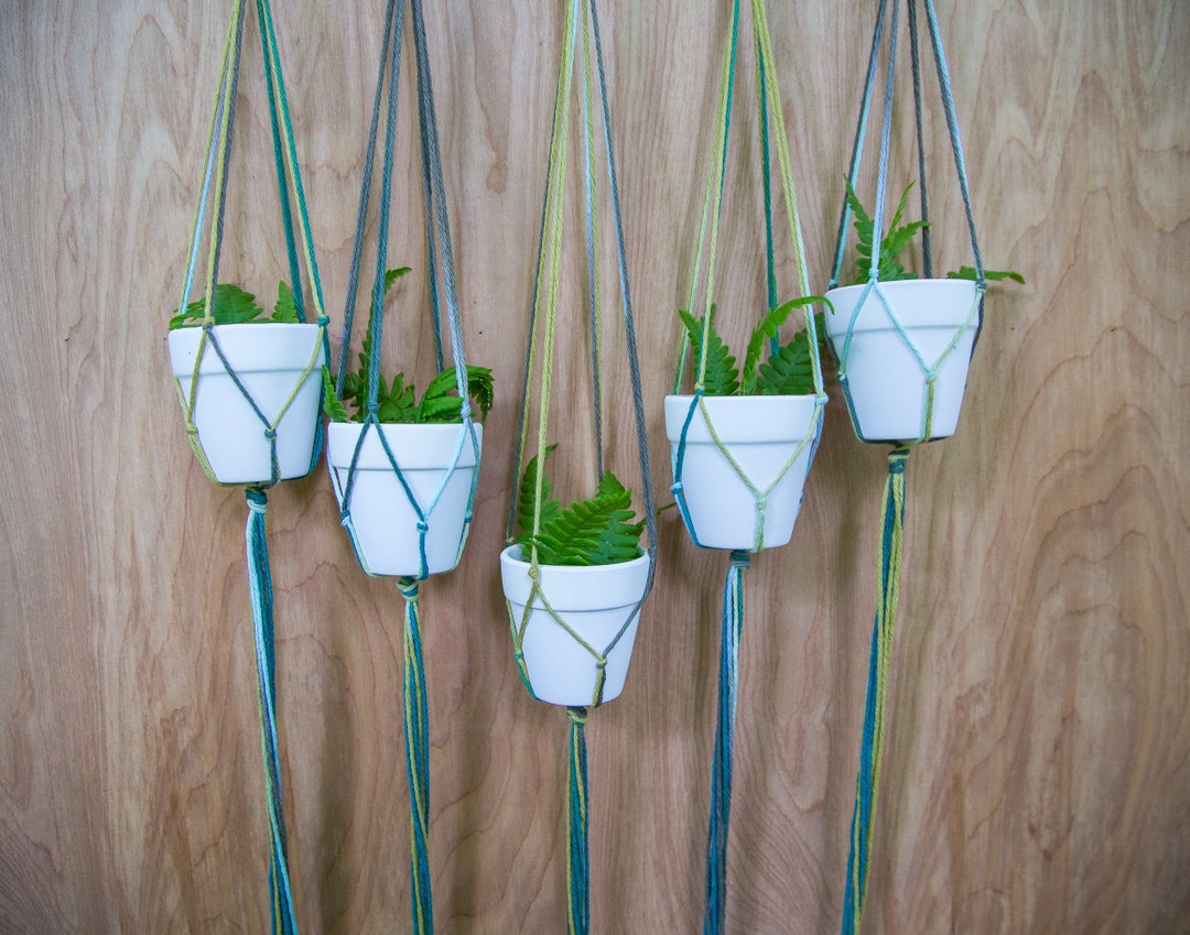 Wall Plant Hanger Hanging Plant Multiple Plant Hanger Plant Hanger Wall Decor Wall Hanging Plant