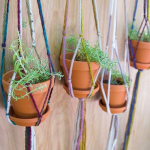 Plant Hanger / Succulent Holder / Small Plant Hanger / Small Plant Holder / Hanging Plant Holder / Hand Tied Plant Hanger/ Plant Holder