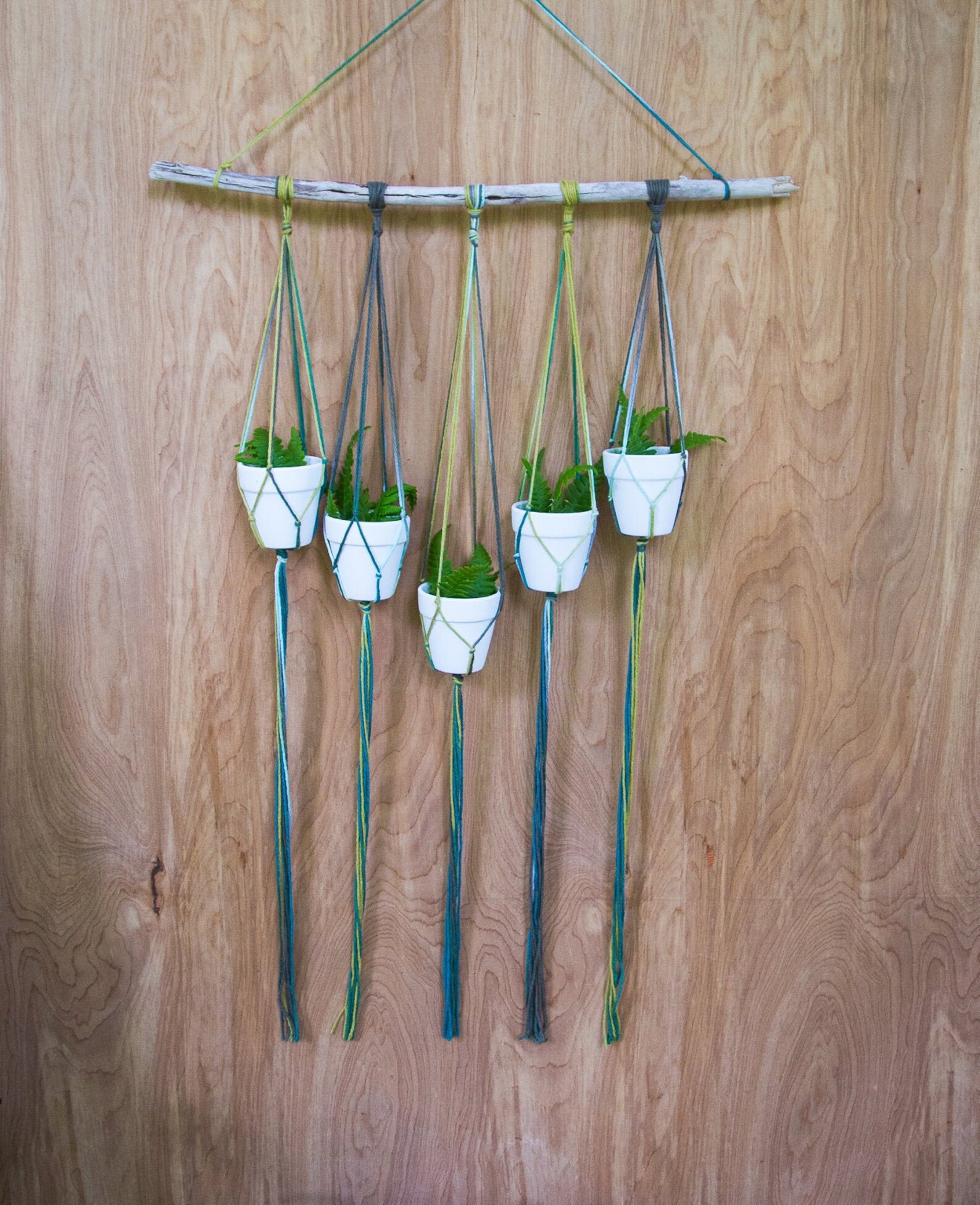 Wall Plant Hanger Hanging Plant Multiple Plant Hanger Plant Hanger Wall