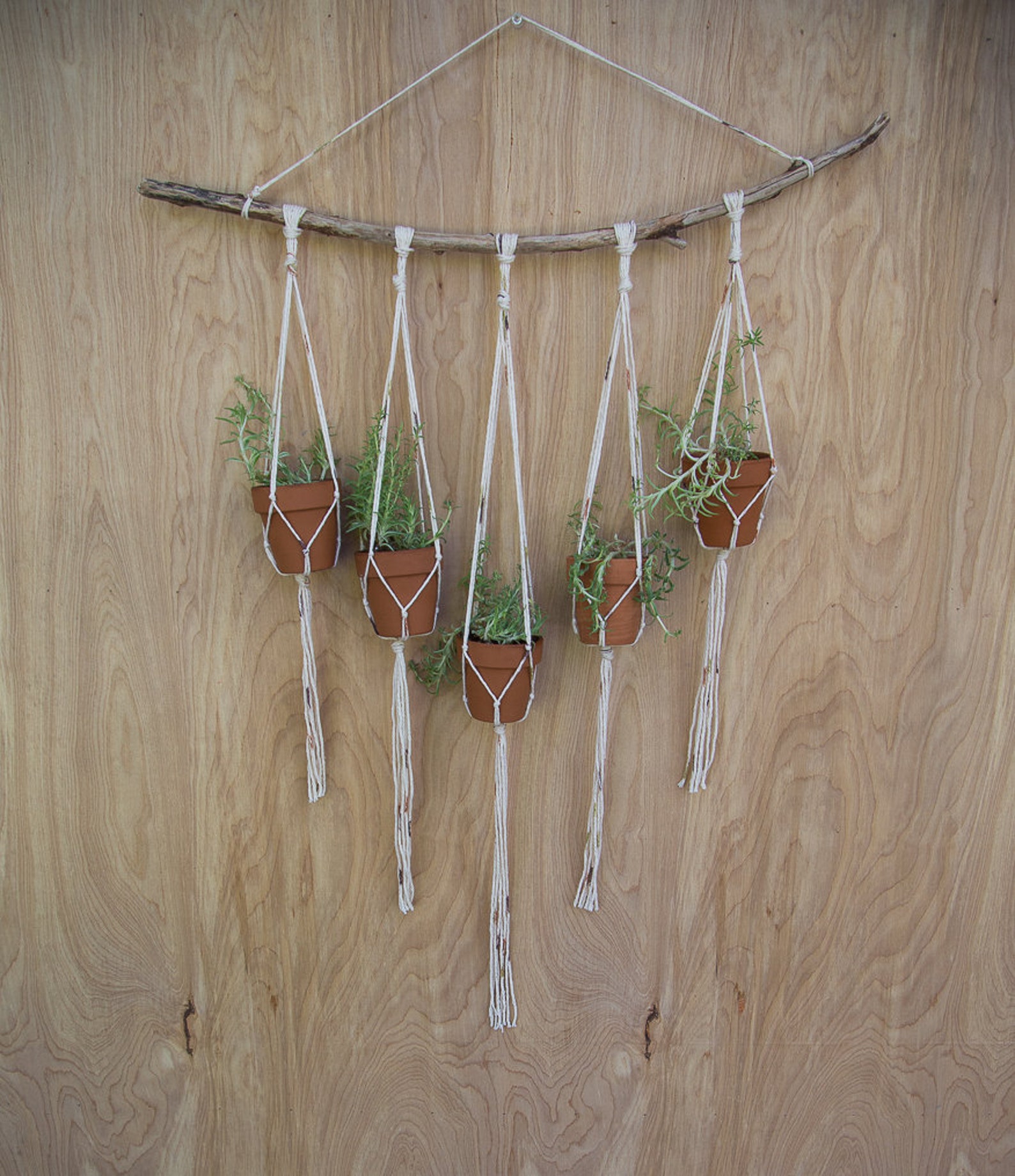 Multiple Plant Hanger Plant Wall Hanger Plant Hanger Etsy
