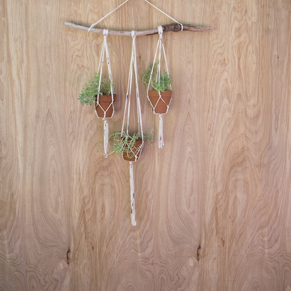 Hanging Planter | Wall Planter | Plant Hanger | Driftwood Planter | Small  Hanging Planter | Small Plant Hanger | Terra Cotta Pots - Etsy
