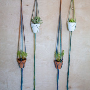 May include: Three macrame plant hangers with terracotta pots and green plants hanging from a light wood wall.