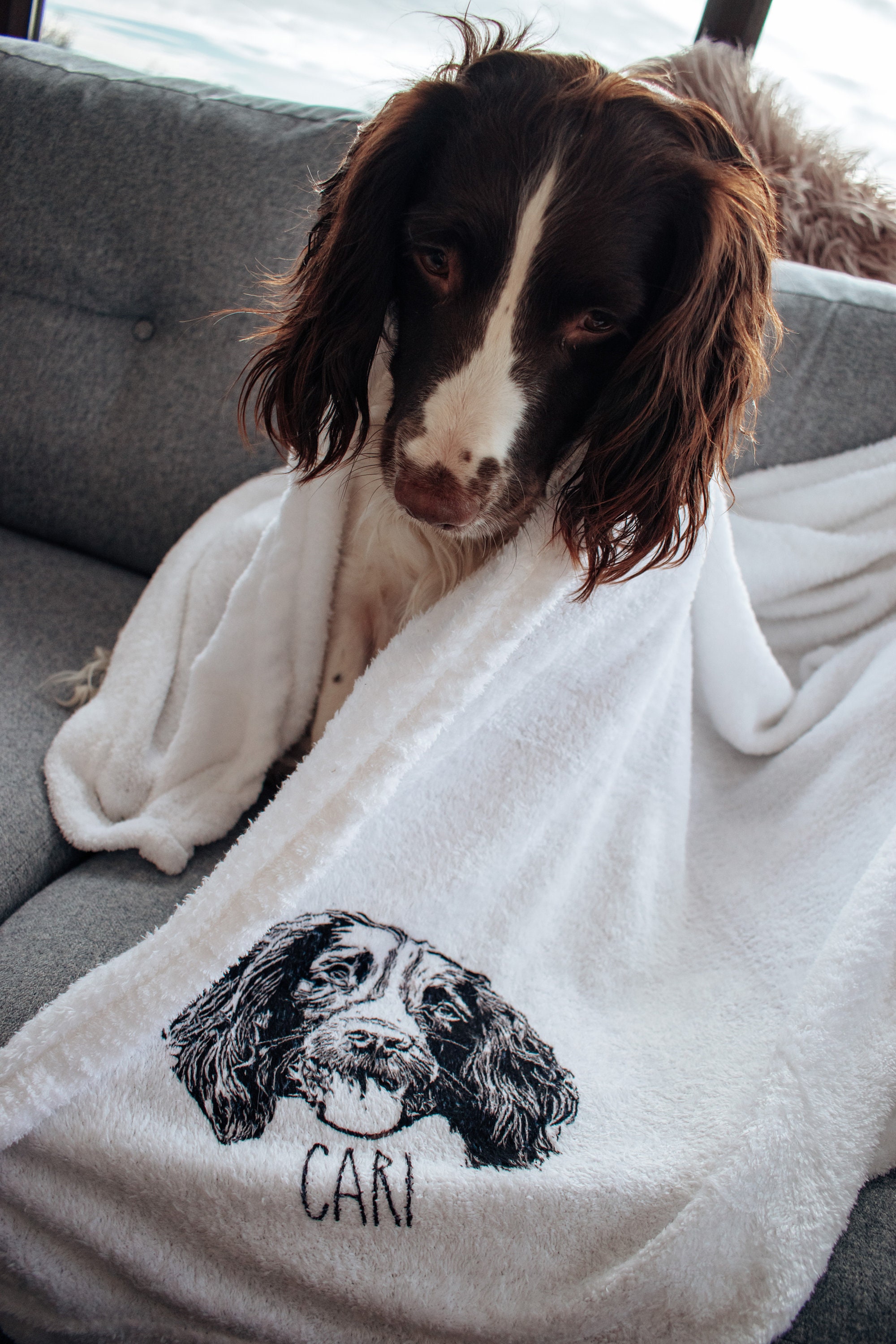 Personalised Pet Blanket / Dog Blanket / Dog Face Blanket/ Etsy