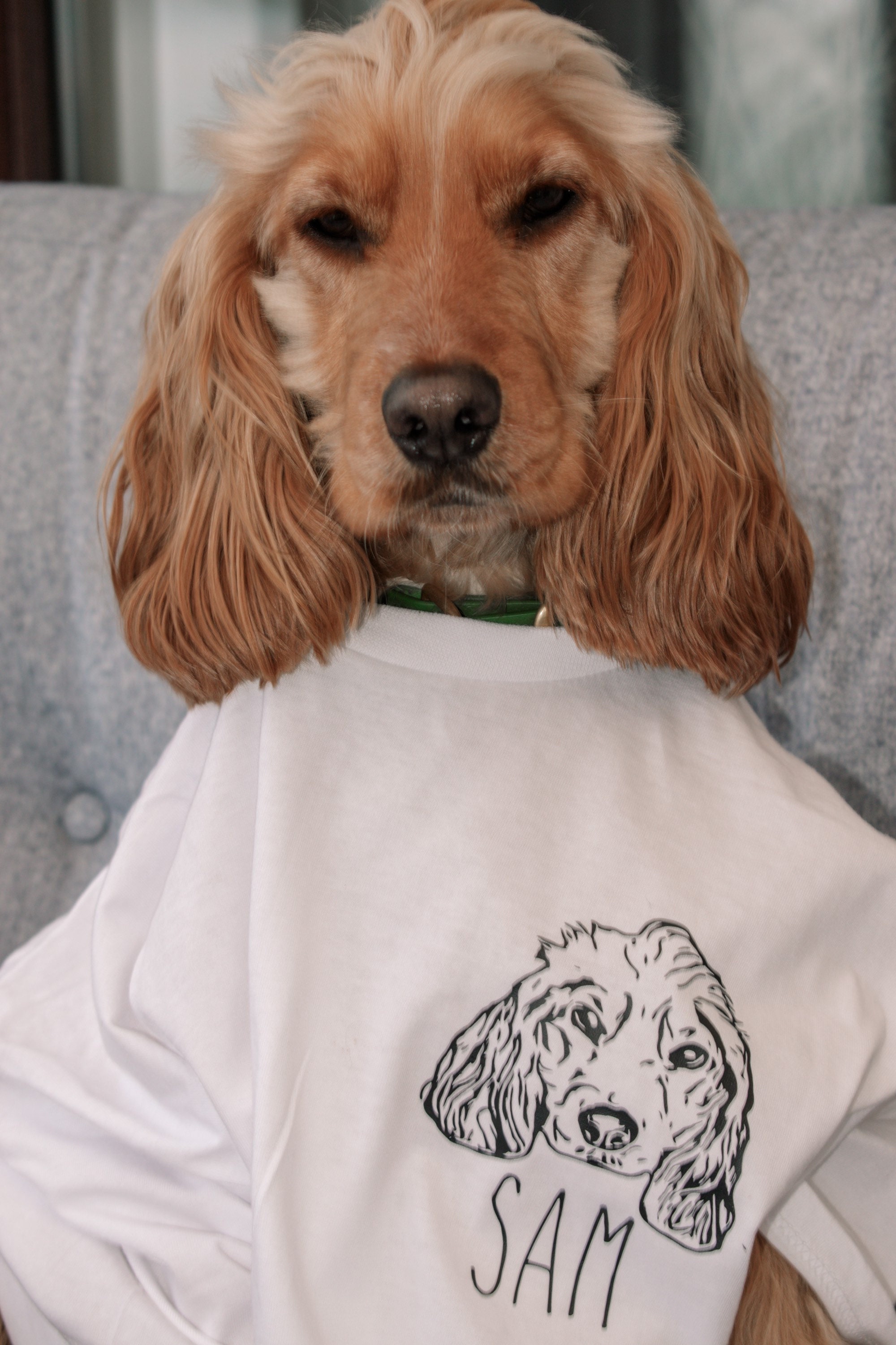 Personalised Pet Face Tshirt / Pet Lover T Shirt / Dog Face Etsy