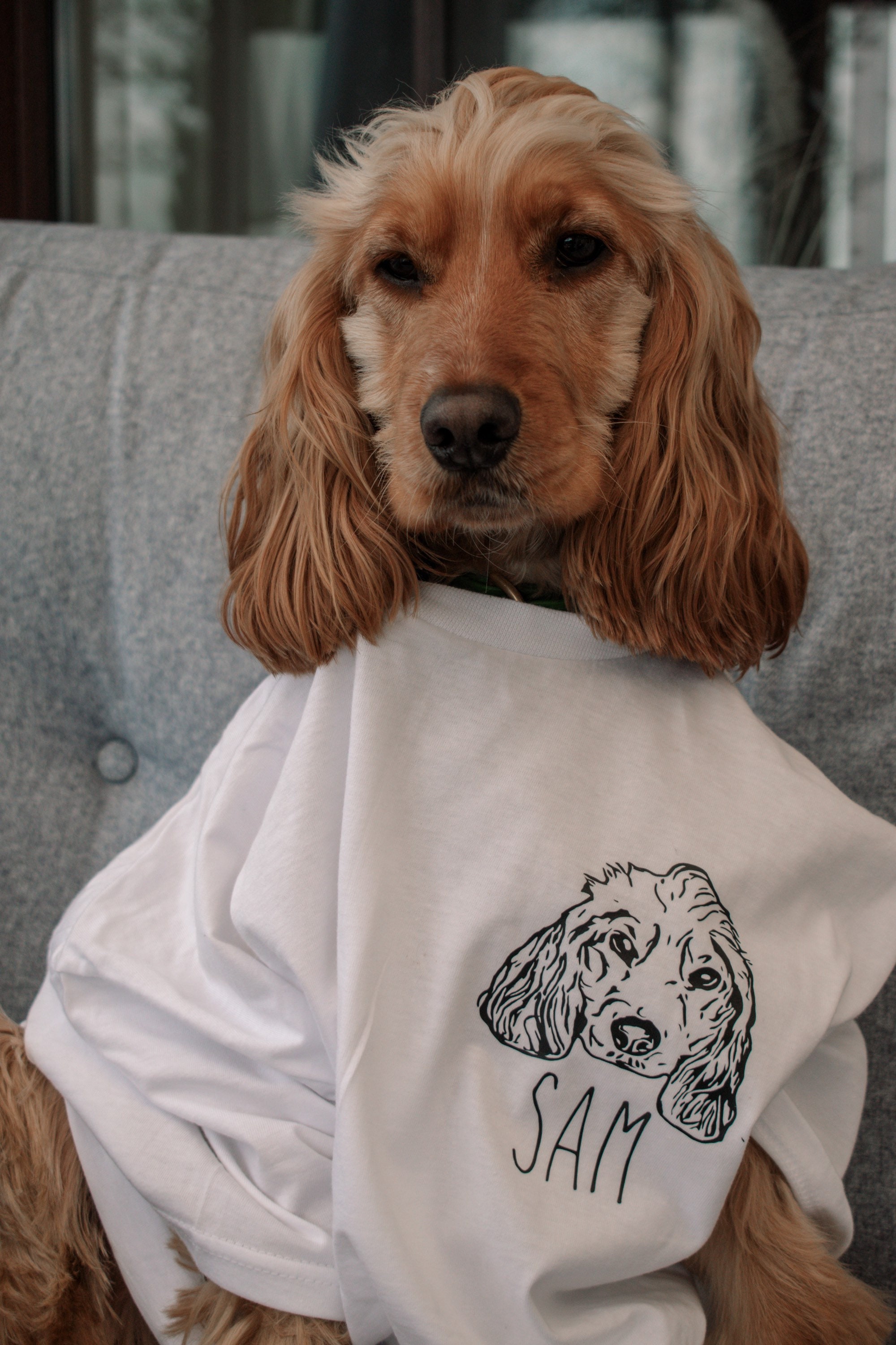 Personalised Pet Face Tshirt / Pet Lover T Shirt / Dog Face Etsy