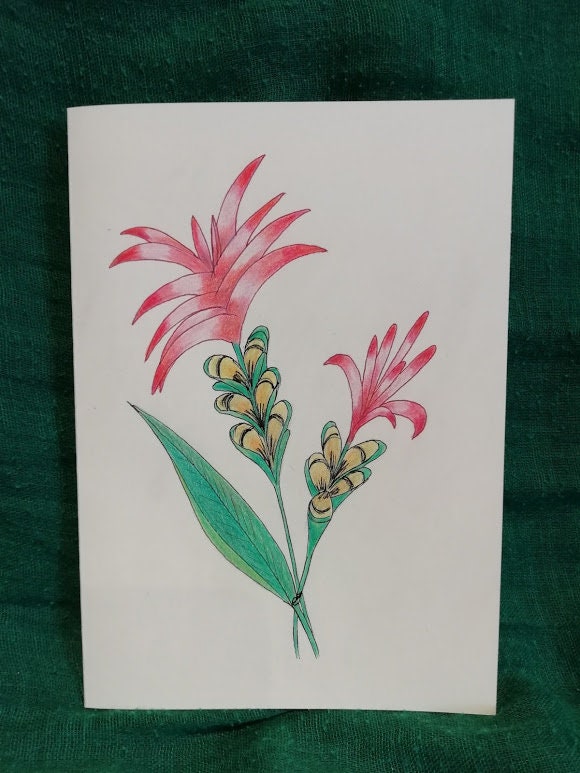 Medicinal Plants Blank Greeting Card Turmeric Flower Etsy