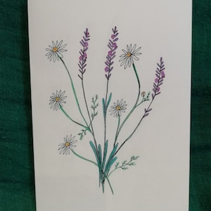 Heilpflanzen Blanko Grußkarte – Kamille und Lavendel