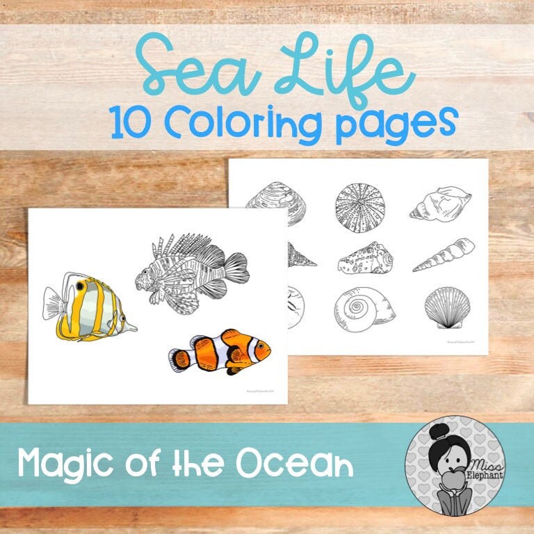 at the beach coloring pages etsy australia
