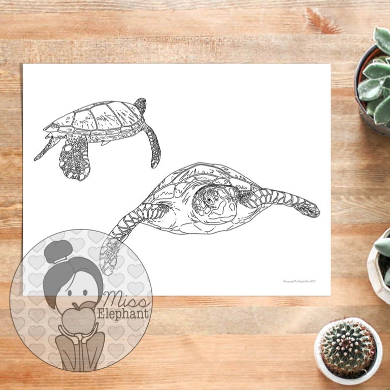 At the Beach Coloring Pages | Etsy