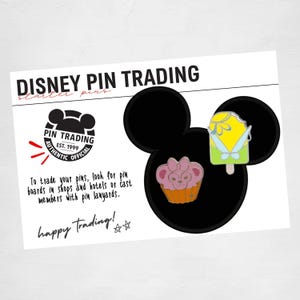 Pin Trading Starter Set / Vacation Gift Trading Pins / 2 Pins & Card / Hidden Mickey Mystery Pins / Random Pins / Mystery Pins