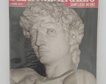 Michelangelo Art Book: Sämtliche Werke, German Edition, 1977