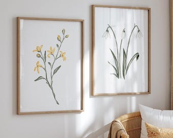 Spring floral art print set, watercolor forsythia and snowdrop flowers, botanical art, watercolor flowers, floral print, set of 2