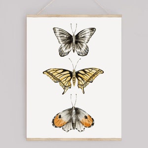 Watercolor butterfly art print, group of 3- butterfly illustration, butterfly wall art, nature art