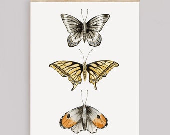 Watercolor Butterfly Art Print, Nature Wall Art