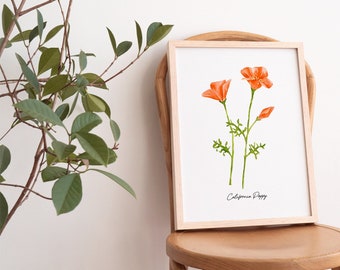 Wildflower art print, California Poppy, poppy art print, botanical art print, watercolor floral wall art