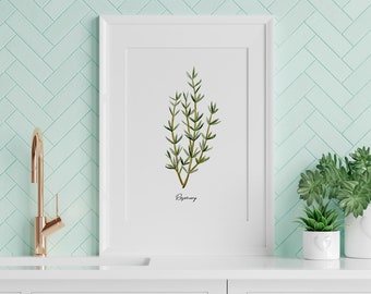 Rosemary herb art print, watercolor botanical painting, garden print, kitchen decor