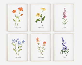 Wildflower art print, set of 6 watercolor prints, floral prints, botanical art print, floral wall art