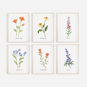 Wildflower art print, set of 6 watercolor prints, floral prints, botanical art print, floral wall art