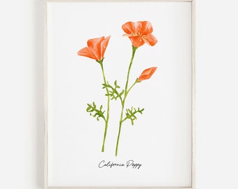 California Poppy Watercolor Art Print, Botanical Wall Art