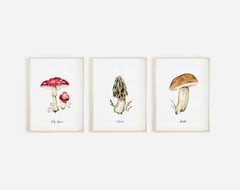 Mushrooms art print set of 3, wild mushroom watercolor painting, mushroom decor, fungi