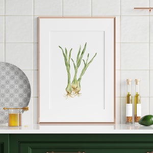 Green onions watercolor art print, food print, kitchen wall hanging