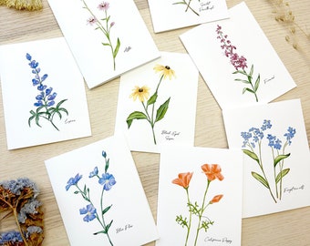 Notecard set, wildflower card set, floral stationary, watercolor greeting cards, set of 8 wildflower card set, box of 8