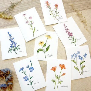 Wildflower variety card set, notecard set, stationery, watercolor greeting cards, set of 8 wildflower card set, box of 8