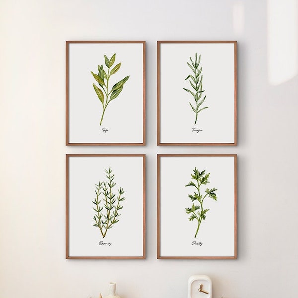 Herbs print set of 4, watercolor painting, kitchen wall art, sage, tarragon, rosemary, parsley