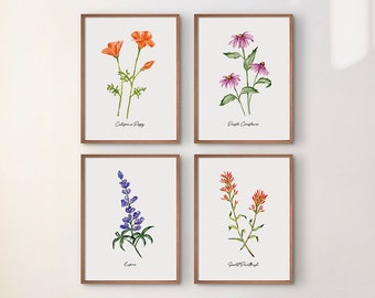 Wildflower art print, set of 4 watercolor prints, floral prints, botanical art print, floral wall art