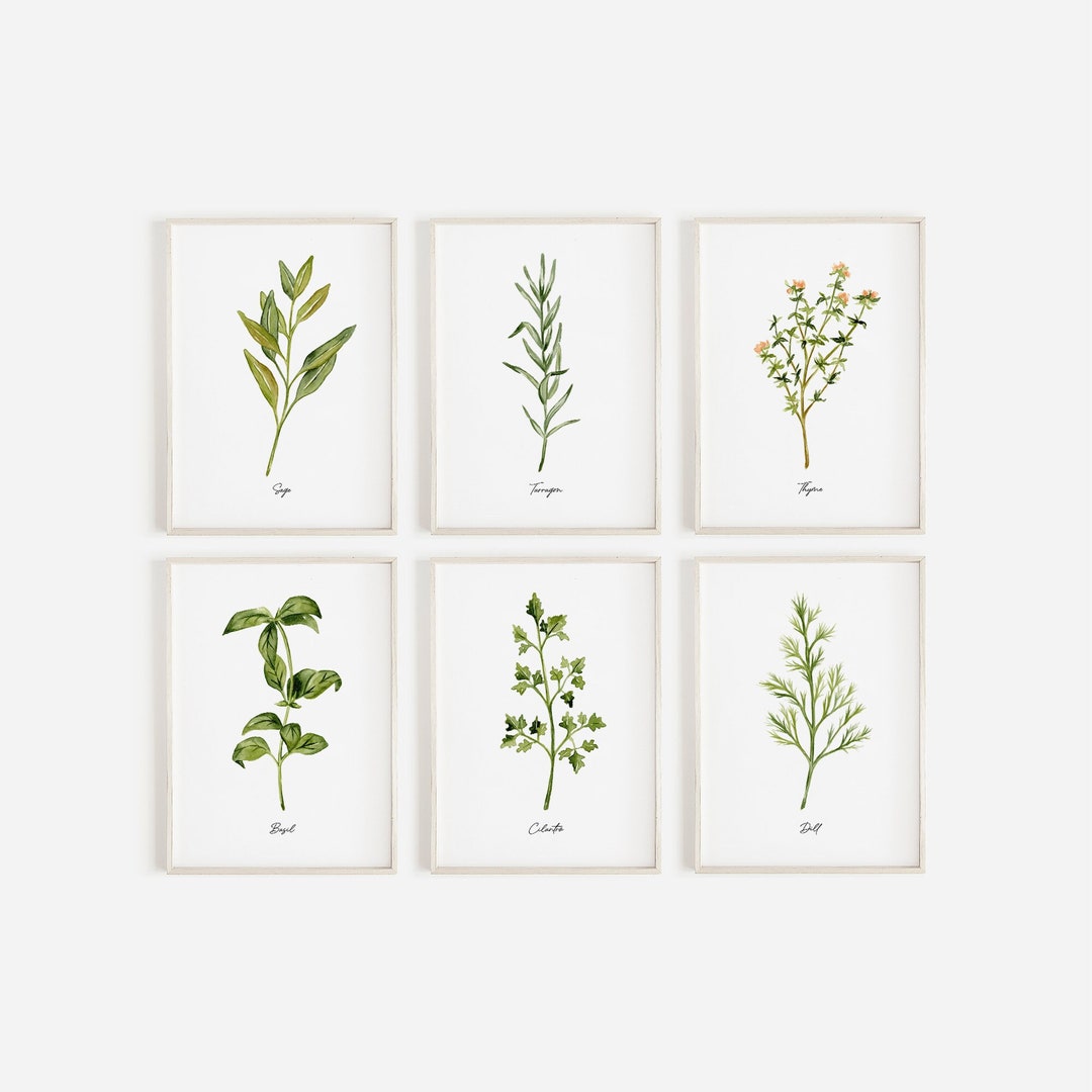 Herb Watercolor Print Set, Kitchen Botanical Wall Art - Etsy