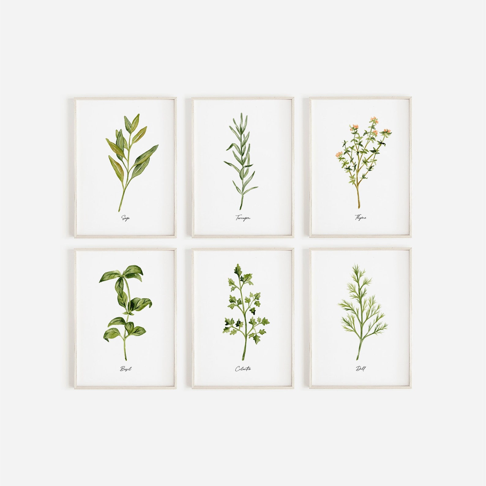Herb Watercolor Print Set, Kitchen Botanical Wall Art - Etsy