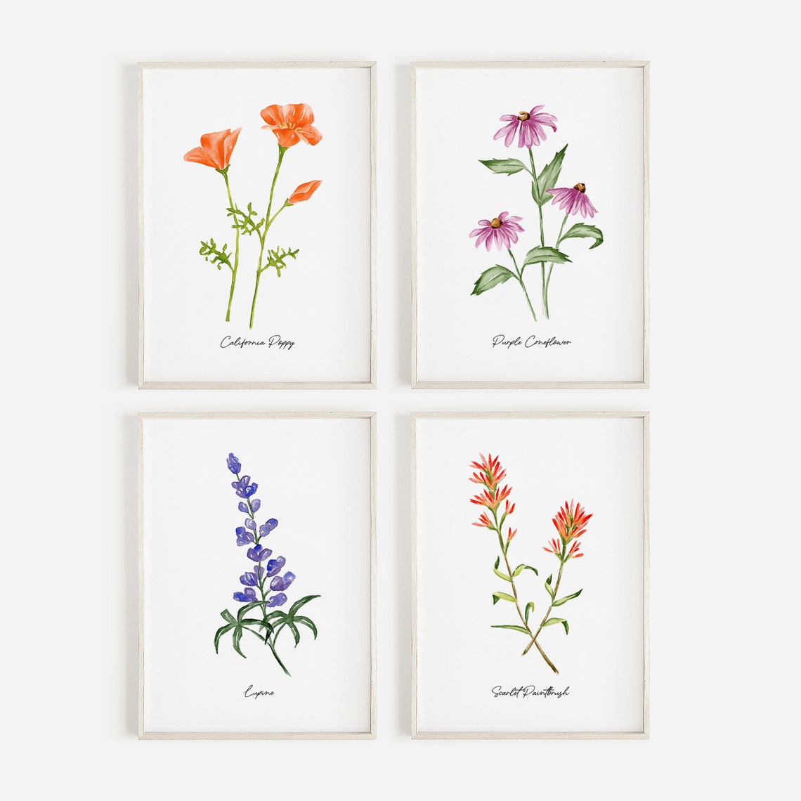 Neutral Watercolor Wildflower Art Prints Set