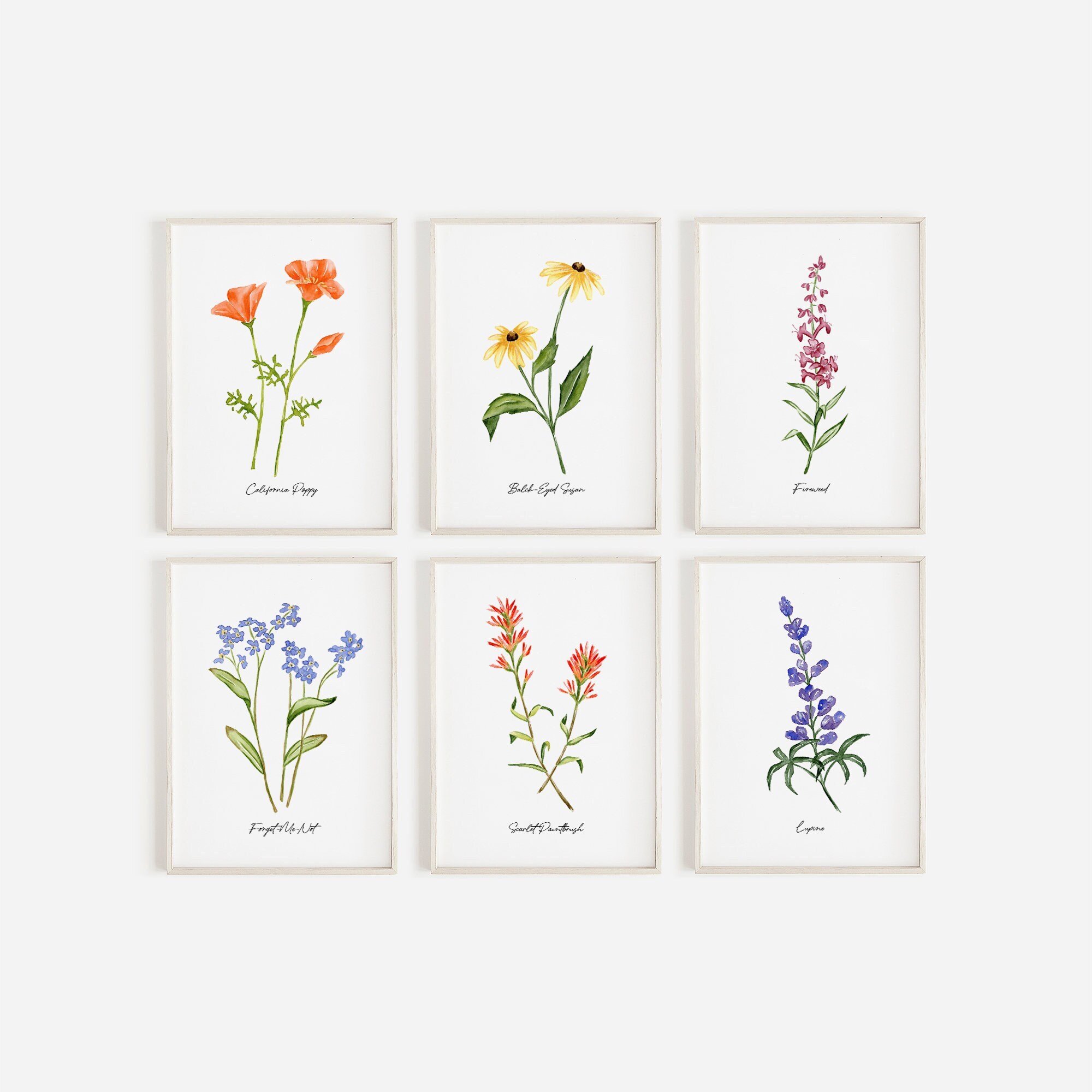 Wildflower art print, set of 6 watercolor prints, floral prints, botanical art print, floral wall art