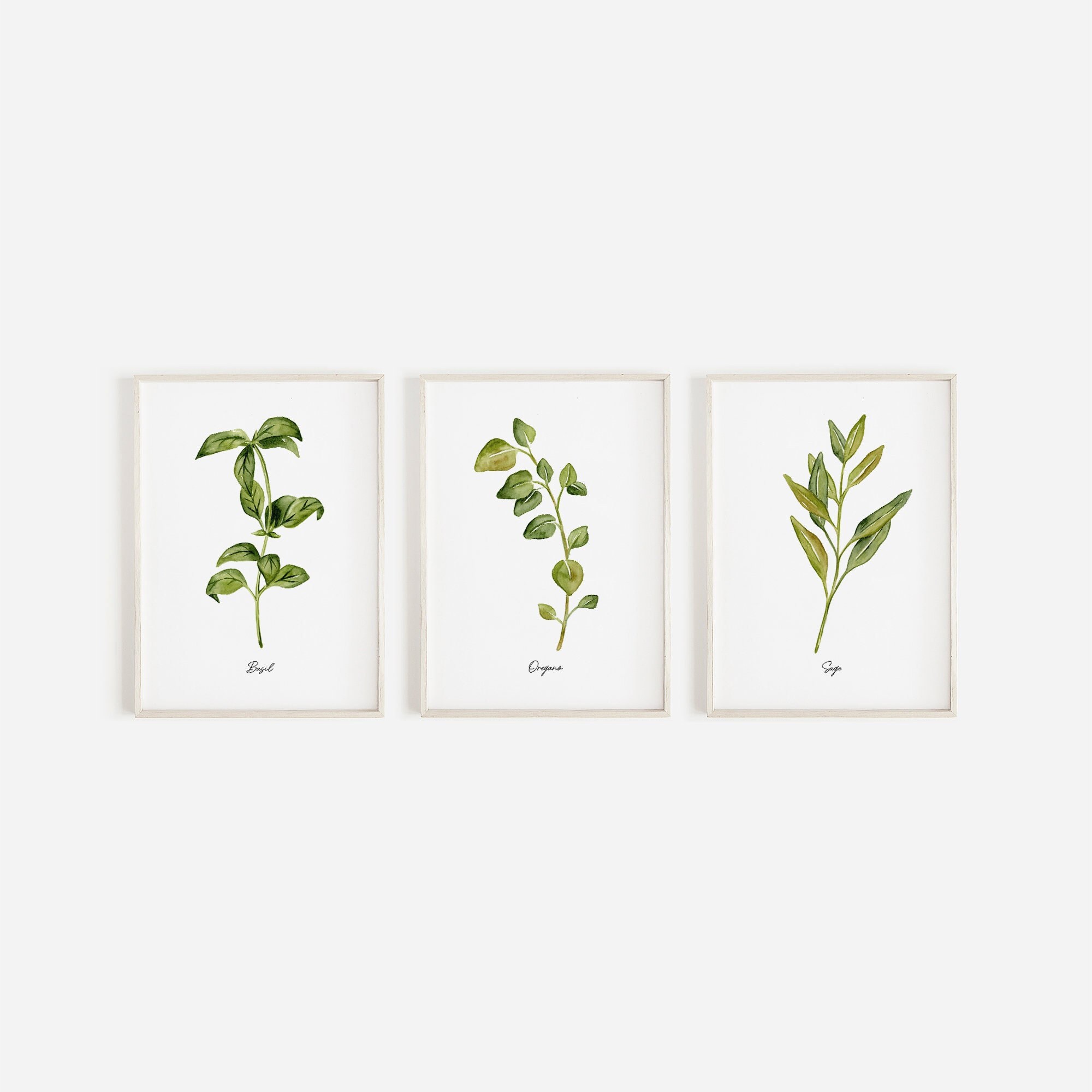Herbs Print Set of 3, Watercolor Painting, Kitchen Wall Art, Basil ...