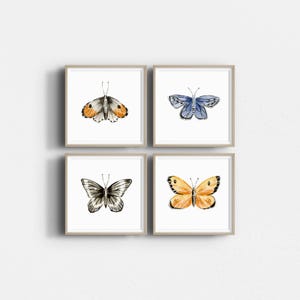 Watercolor butterfly art print, butterfly illustration, butterfly wall art, nature art, square art print, set of 4