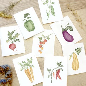 May include: Watercolor illustrations of various vegetables on white cards. The cards feature a green bell pepper, red radish, orange carrots, red tomatoes, purple eggplant, yellow squash, green peas, and red chili peppers.