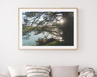 La belleza brilla a través de