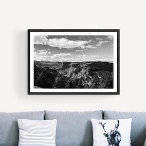 Paesaggio in bianco e nero della Nuova zelandia