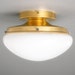 see more listings in the Ceiling Lights section