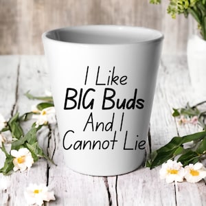 May include: White ceramic planter with black text that reads "I Like BIG Buds And I Cannot Lie".
