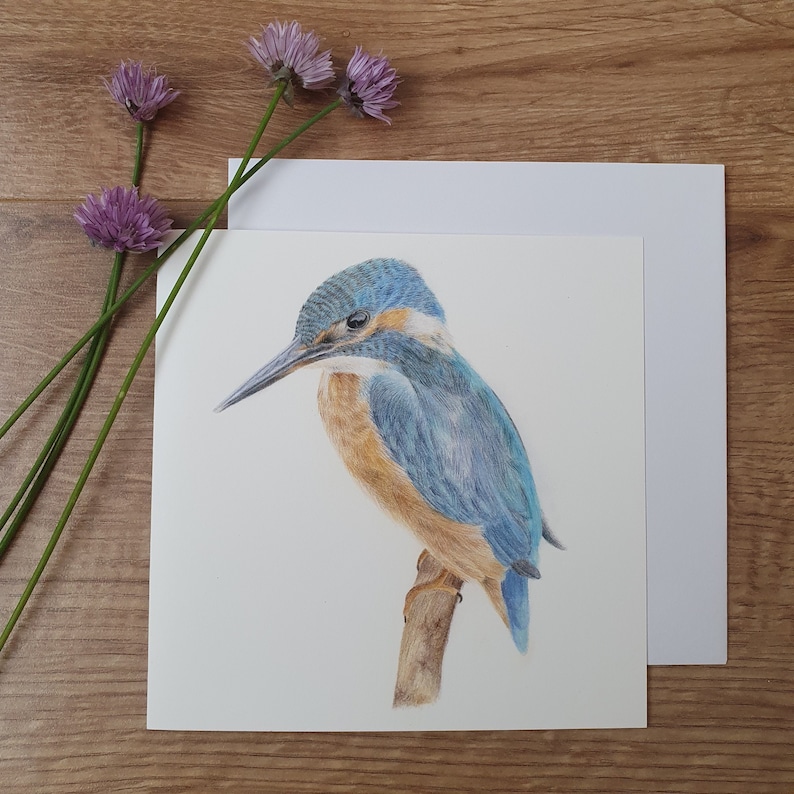 kingfisher greetings card 6x6'' blank inside etsy