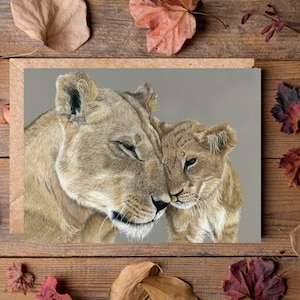 Lionne et son lionceau 7 x 5 pouces - belle carte animal - blanc à l'intérieur - carte de voeux Lion Safari - carte de fête des mères